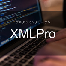 ץߥ󥰥`루XMLPro